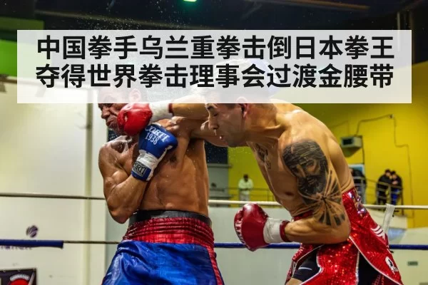 boxing knockout punch