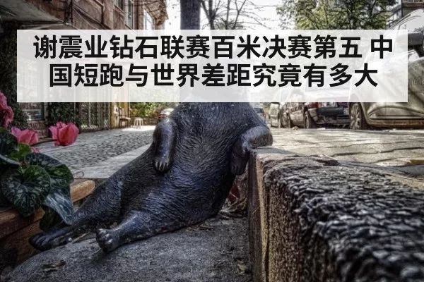 谢震业钻石联赛百米决赛第五 中国短跑与世界差距究竟有多大